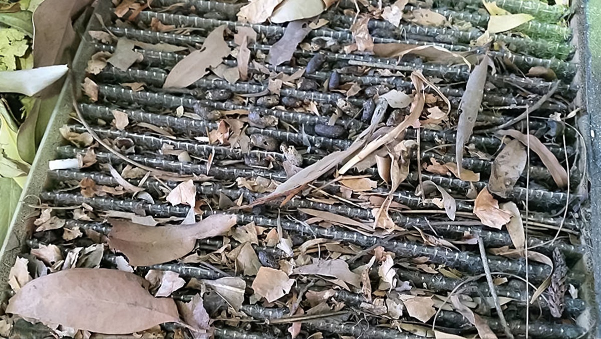 dirty cabin air filter